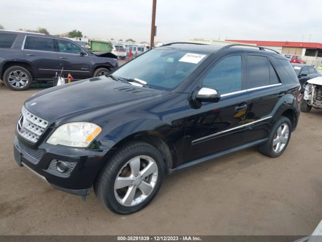 Photo 1 VIN: 4JGBB5GB5AA618896 - MERCEDES-BENZ ML 350 