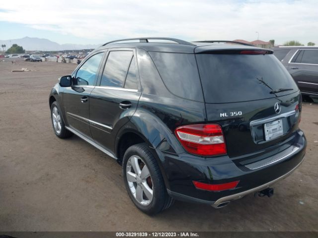 Photo 2 VIN: 4JGBB5GB5AA618896 - MERCEDES-BENZ ML 350 