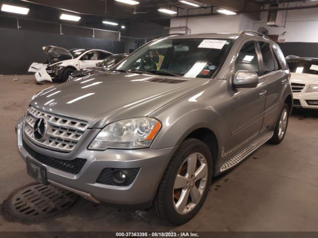 Photo 1 VIN: 4JGBB8GB0AA570421 - MERCEDES-BENZ ML 350 