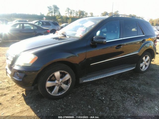 Photo 1 VIN: 4JGBB8GB0BA641490 - MERCEDES-BENZ ML 350 