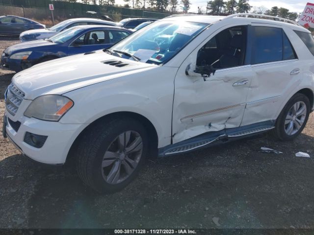 Photo 5 VIN: 4JGBB8GB0BA643689 - MERCEDES-BENZ ML 350 