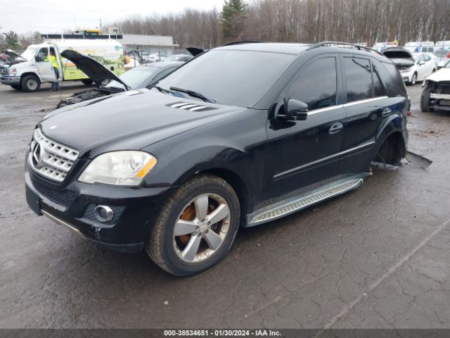 Photo 1 VIN: 4JGBB8GB0BA723686 - MERCEDES-BENZ ML 350 