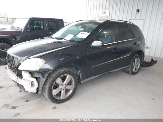 Photo 1 VIN: 4JGBB8GB1AA560061 - MERCEDES-BENZ ML 350 