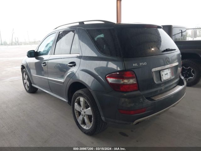 Photo 2 VIN: 4JGBB8GB1AA560061 - MERCEDES-BENZ ML 350 