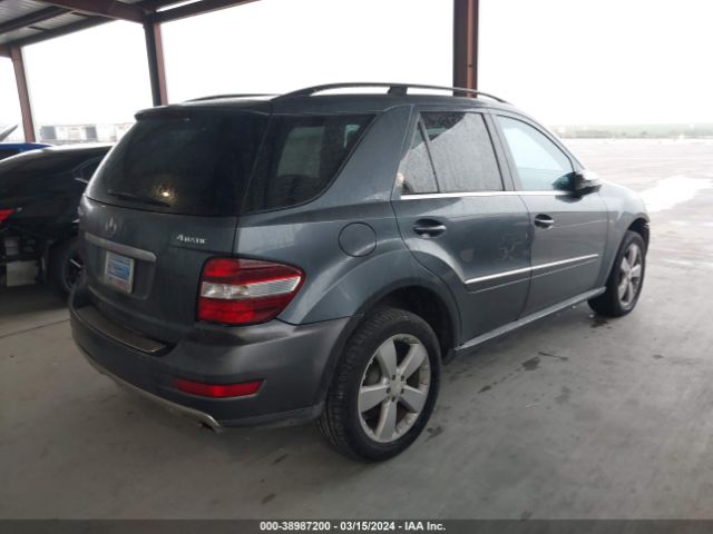 Photo 3 VIN: 4JGBB8GB1AA560061 - MERCEDES-BENZ ML 350 