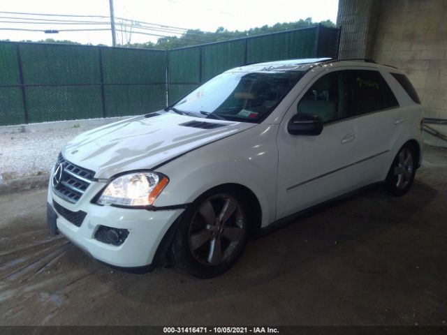 Photo 1 VIN: 4JGBB8GB2AA562126 - MERCEDES-BENZ M-CLASS 