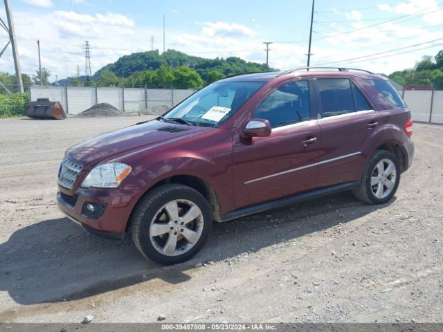 Photo 1 VIN: 4JGBB8GB2AA567004 - MERCEDES-BENZ ML 350 