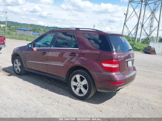 Photo 2 VIN: 4JGBB8GB2AA567004 - MERCEDES-BENZ ML 350 