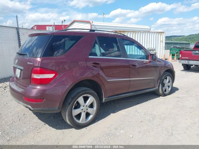 Photo 3 VIN: 4JGBB8GB2AA567004 - MERCEDES-BENZ ML 350 