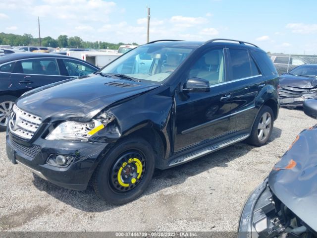 Photo 1 VIN: 4JGBB8GB2BA730722 - MERCEDES-BENZ ML 350 