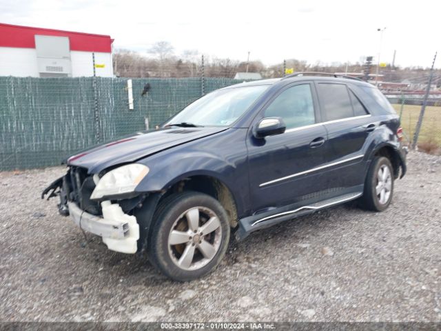 Photo 1 VIN: 4JGBB8GB3AA544928 - MERCEDES-BENZ ML 350 