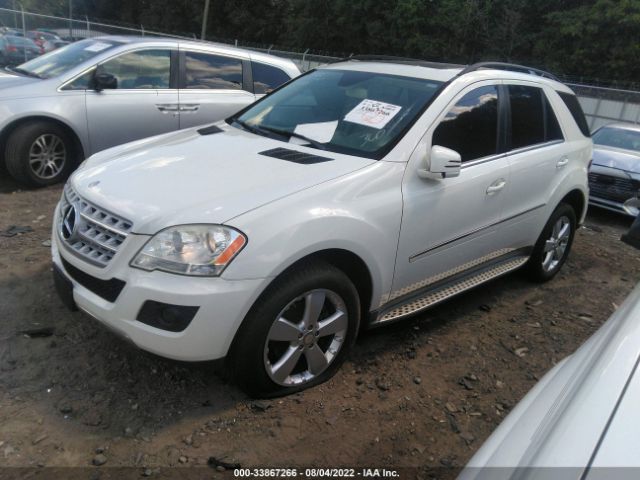 Photo 1 VIN: 4JGBB8GB3BA696788 - MERCEDES-BENZ M-CLASS 