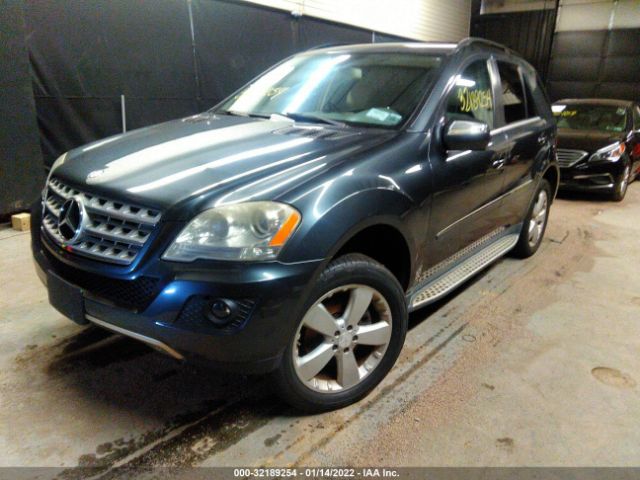 Photo 1 VIN: 4JGBB8GB4AA562791 - MERCEDES-BENZ M-CLASS 