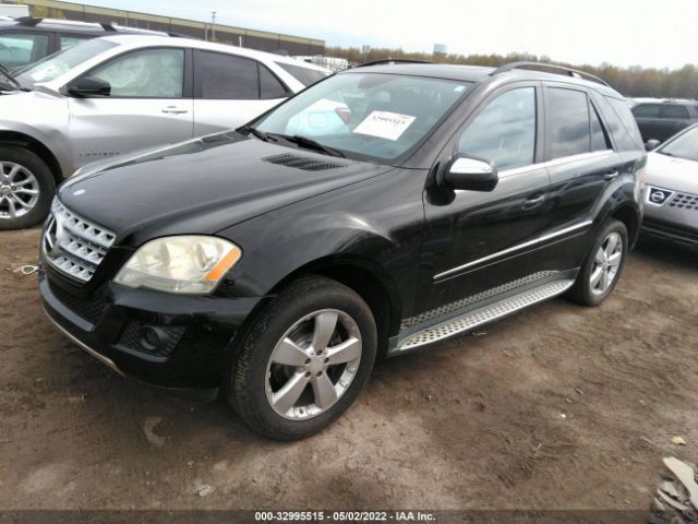 Photo 1 VIN: 4JGBB8GB4AA582135 - MERCEDES-BENZ M-CLASS 