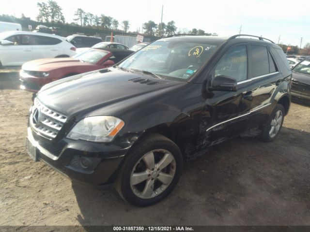 Photo 1 VIN: 4JGBB8GB4BA629679 - MERCEDES-BENZ M-CLASS 