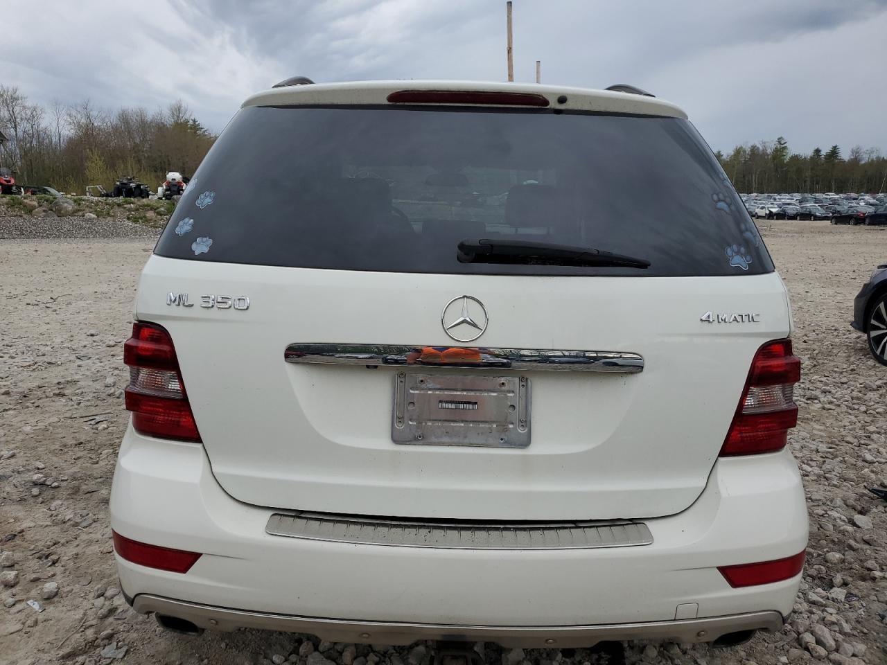 Photo 5 VIN: 4JGBB8GB5AA597310 - MERCEDES-BENZ M-KLASSE 