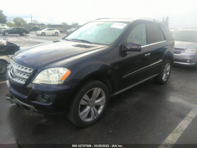 Photo 1 VIN: 4JGBB8GB6BA656219 - MERCEDES-BENZ M-CLASS 