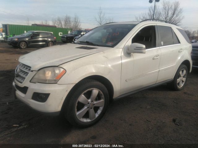 Photo 1 VIN: 4JGBB8GB6BA705550 - MERCEDES-BENZ ML 350 