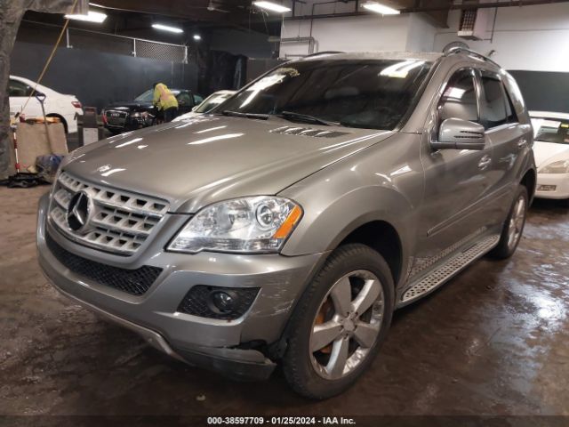 Photo 1 VIN: 4JGBB8GB6BA722669 - MERCEDES-BENZ ML 350 