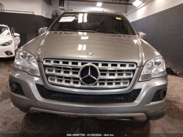 Photo 5 VIN: 4JGBB8GB6BA722669 - MERCEDES-BENZ ML 350 