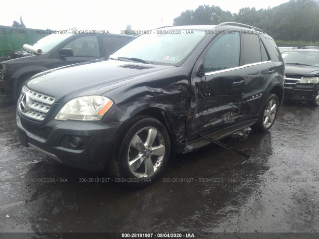 Photo 1 VIN: 4JGBB8GB8AA550210 - MERCEDES-BENZ M-CLASS 