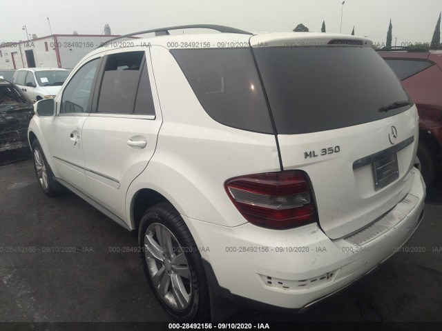 Photo 2 VIN: 4JGBB8GB8AA574782 - MERCEDES-BENZ M-CLASS 