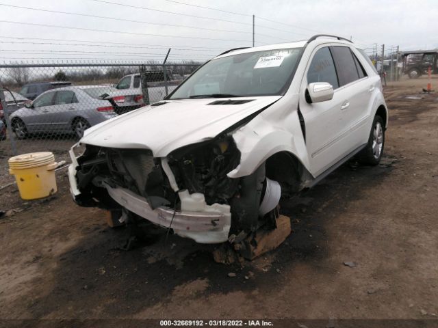 Photo 5 VIN: 4JGBB8GB8AA588374 - MERCEDES-BENZ M-CLASS 