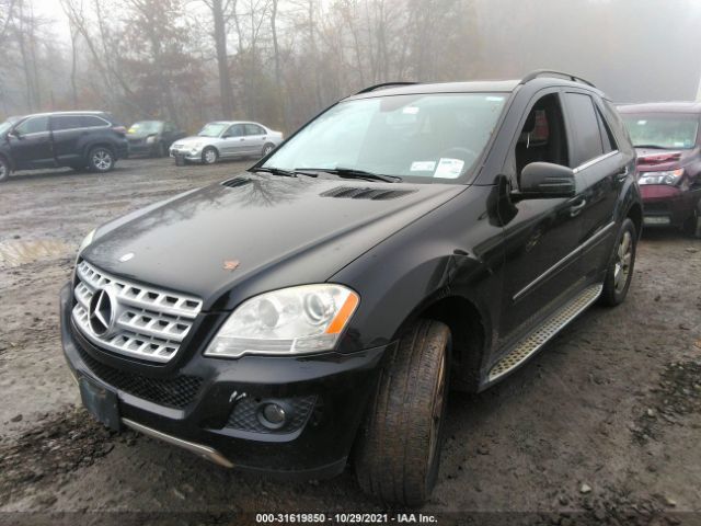 Photo 1 VIN: 4JGBB8GB8BA671272 - MERCEDES-BENZ M-CLASS 