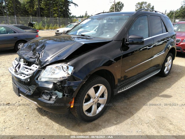 Photo 1 VIN: 4JGBB8GB8BA708711 - MERCEDES-BENZ M-CLASS 