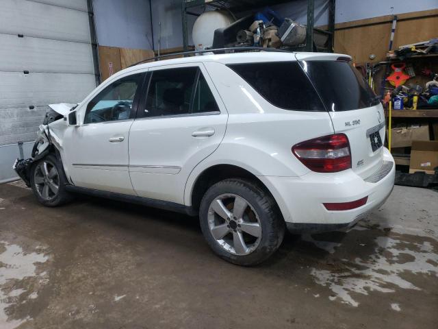 Photo 1 VIN: 4JGBB8GB8BA712435 - MERCEDES-BENZ M-CLASS 