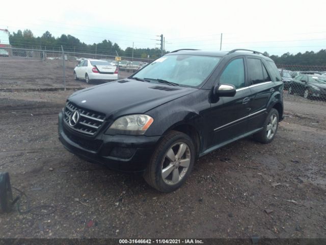 Photo 1 VIN: 4JGBB8GB9AA545386 - MERCEDES-BENZ M-CLASS 