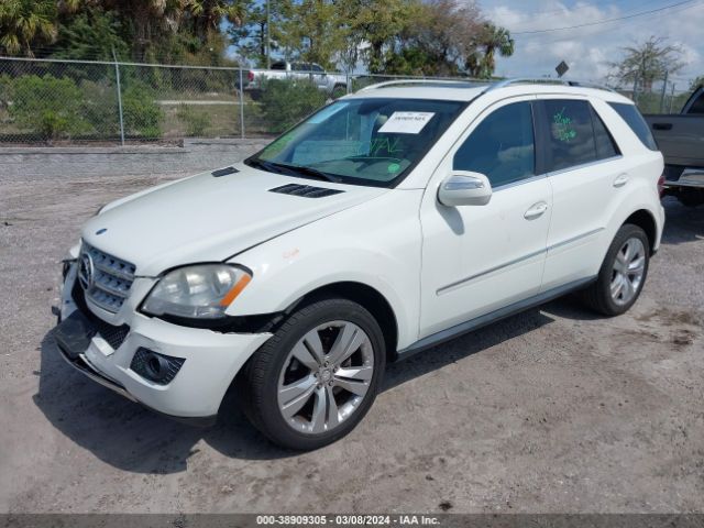 Photo 1 VIN: 4JGBB8GB9AA587346 - MERCEDES-BENZ ML 350 