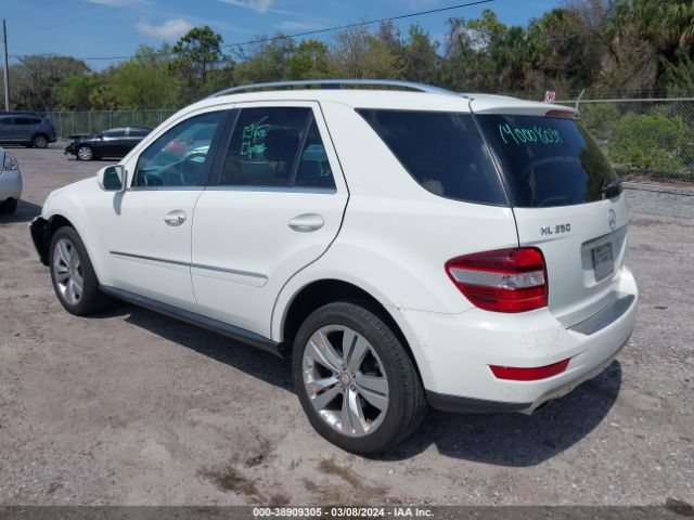 Photo 2 VIN: 4JGBB8GB9AA587346 - MERCEDES-BENZ ML 350 