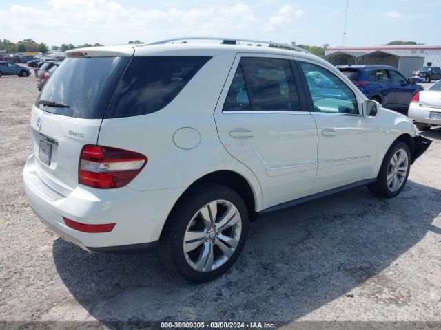 Photo 3 VIN: 4JGBB8GB9AA587346 - MERCEDES-BENZ ML 350 