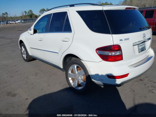 Photo 2 VIN: 4JGBB8GBXAA589493 - MERCEDES-BENZ ML 350 