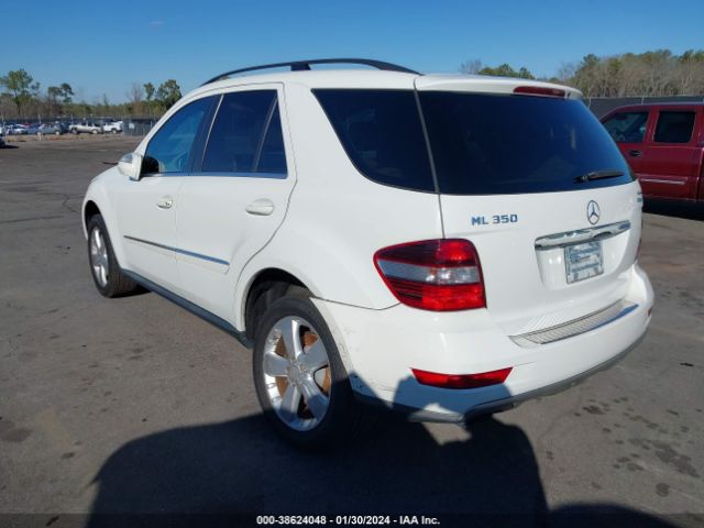 Photo 5 VIN: 4JGBB8GBXAA589493 - MERCEDES-BENZ ML 350 