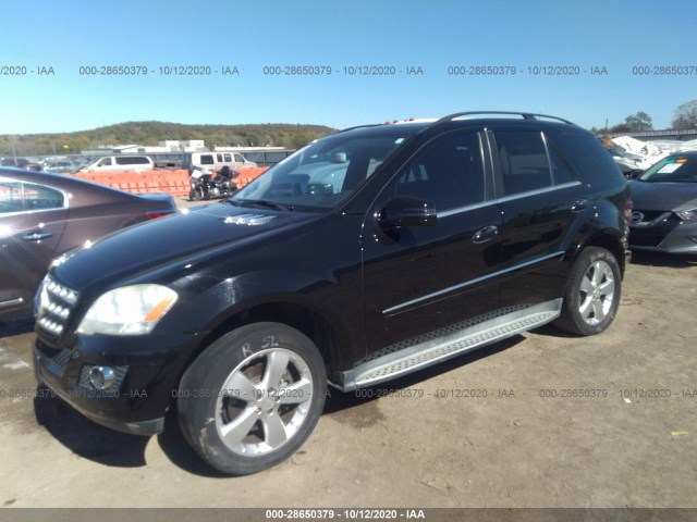 Photo 1 VIN: 4JGBB8GBXBA723033 - MERCEDES-BENZ M-CLASS 