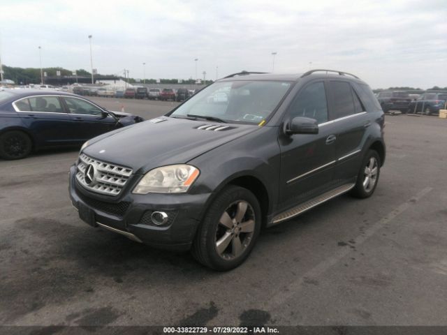 Photo 1 VIN: 4JGBB8GBXBA730189 - MERCEDES-BENZ M-CLASS 