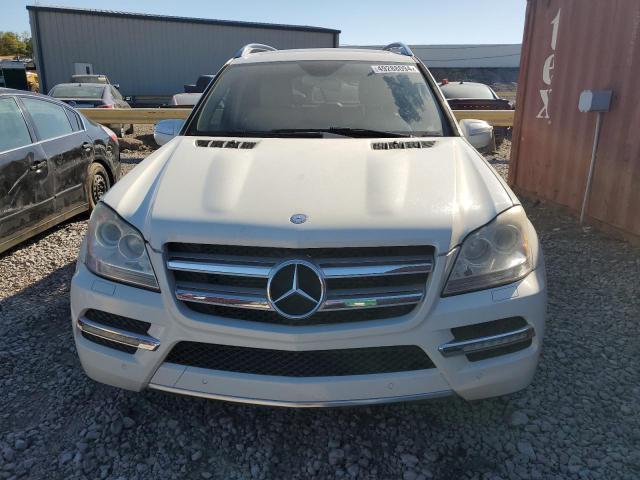 Photo 4 VIN: 4JGBF2FE2AA605781 - MERCEDES-BENZ GL-CLASS 