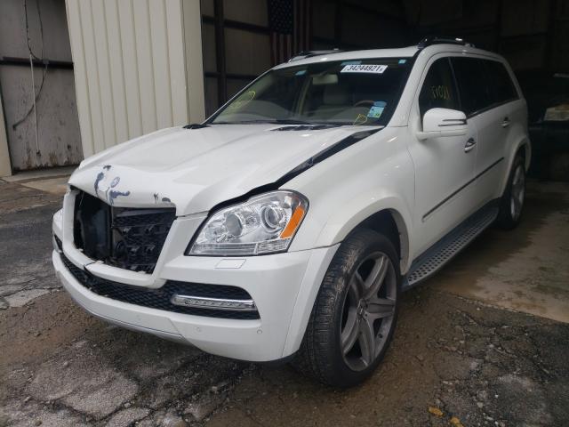 Photo 1 VIN: 4JGBF8GE0BA740146 - MERCEDES-BENZ GL-CLASS 