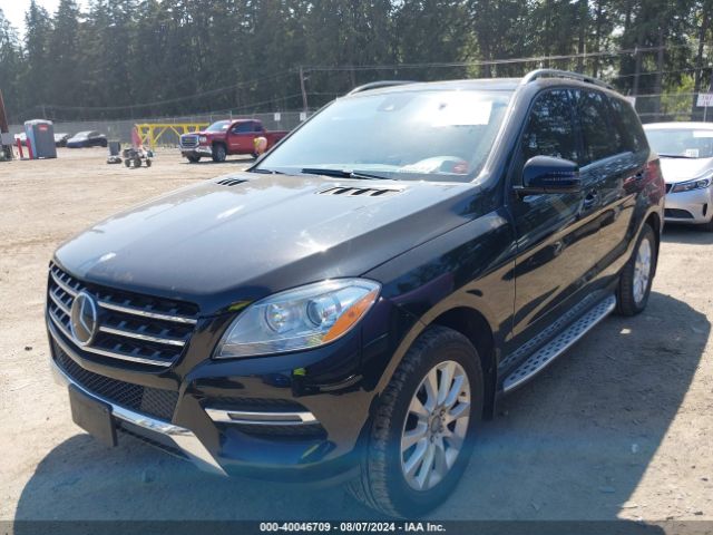 Photo 1 VIN: 4JGDA0EB0FA547180 - MERCEDES-BENZ ML-CLASS 