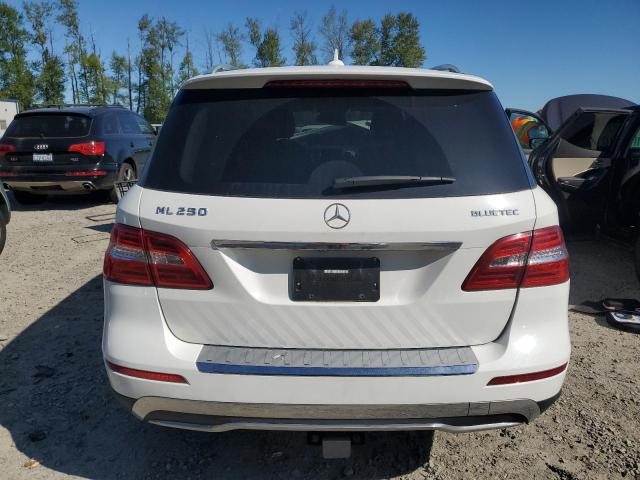 Photo 5 VIN: 4JGDA0EB1FA580477 - MERCEDES-BENZ ML 250 BLU 