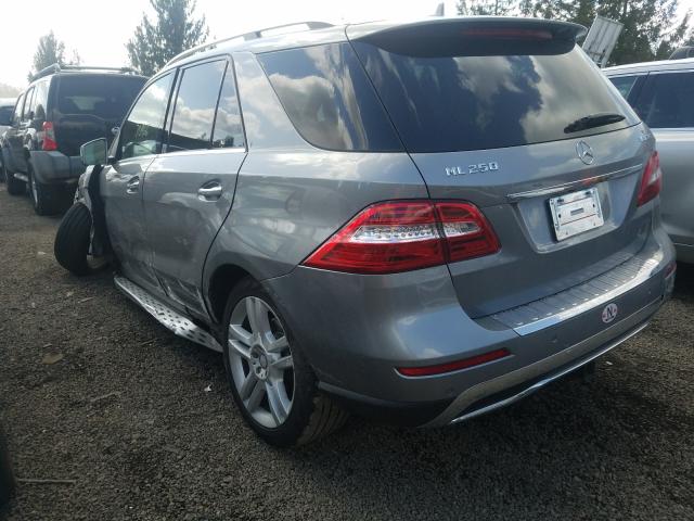 Photo 2 VIN: 4JGDA0EB4FA498159 - MERCEDES-BENZ ML 250 