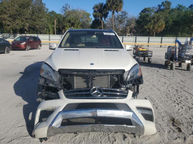 Photo 4 VIN: 4JGDA0EB5FA549863 - MERCEDES-BENZ ML 250 BLU 