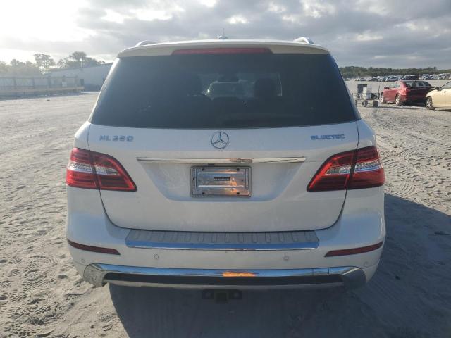 Photo 5 VIN: 4JGDA0EB5FA549863 - MERCEDES-BENZ ML 250 BLU 