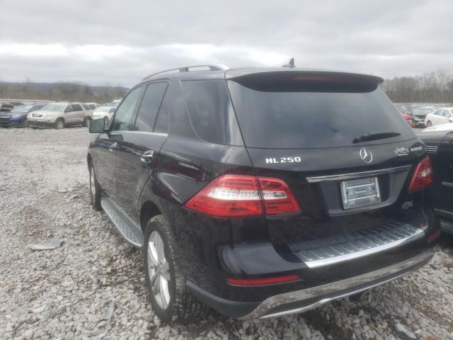 Photo 2 VIN: 4JGDA0EB7FA469108 - MERCEDES-BENZ ML 250 BLU 