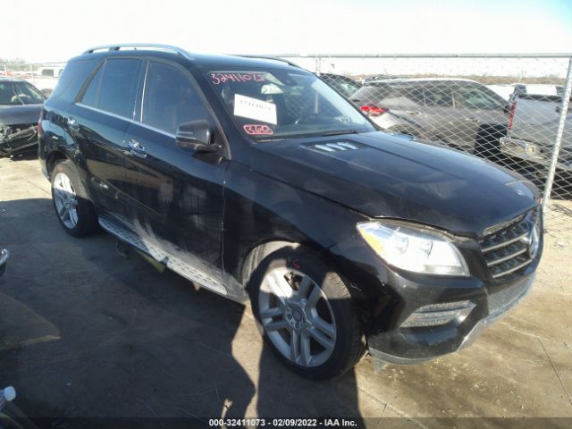 Photo 0 VIN: 4JGDA0EB7FA566731 - MERCEDES-BENZ M-CLASS 