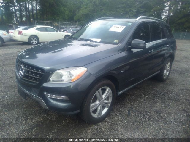 Photo 1 VIN: 4JGDA2EB2CA028154 - MERCEDES-BENZ M-CLASS 