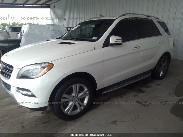 Photo 1 VIN: 4JGDA2EB2DA255085 - MERCEDES-BENZ M-CLASS 