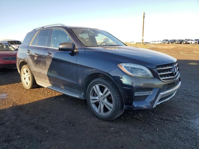 Photo 3 VIN: 4JGDA2EB3EA323251 - MERCEDES-BENZ ML 350 BLU 